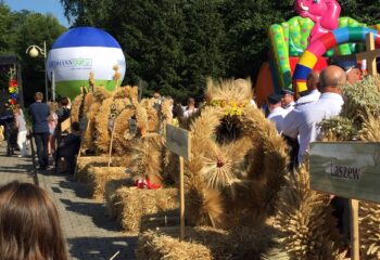 68755493_751138025345832_5911267642441728000_o